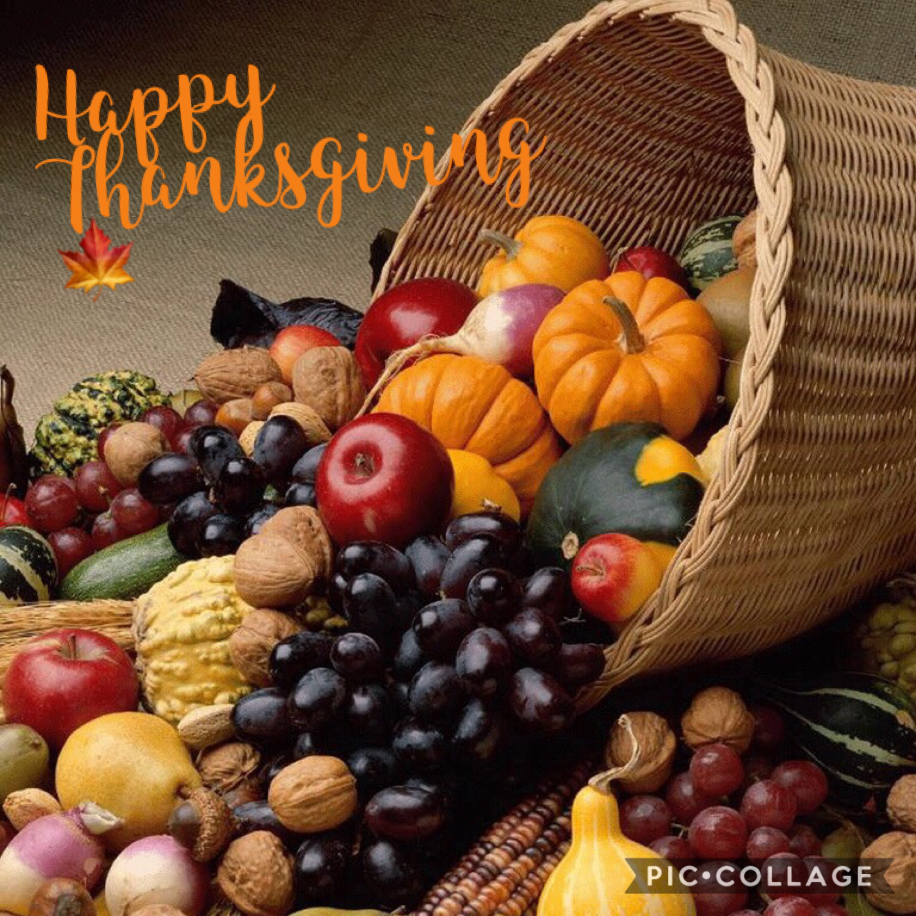 🍁Tap🍁

Happy Thanksgiving!!! Hope you have a fantastic day ❤️