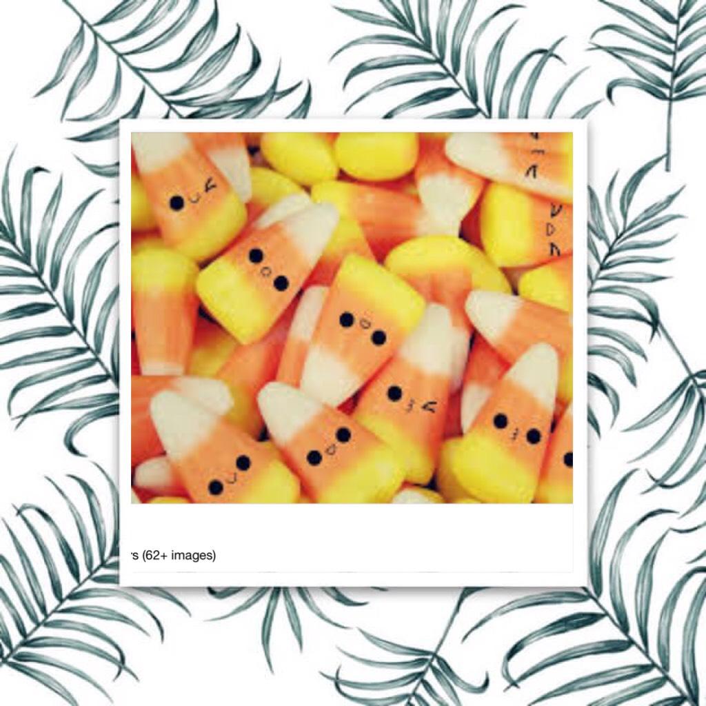 Candy corn is amazing