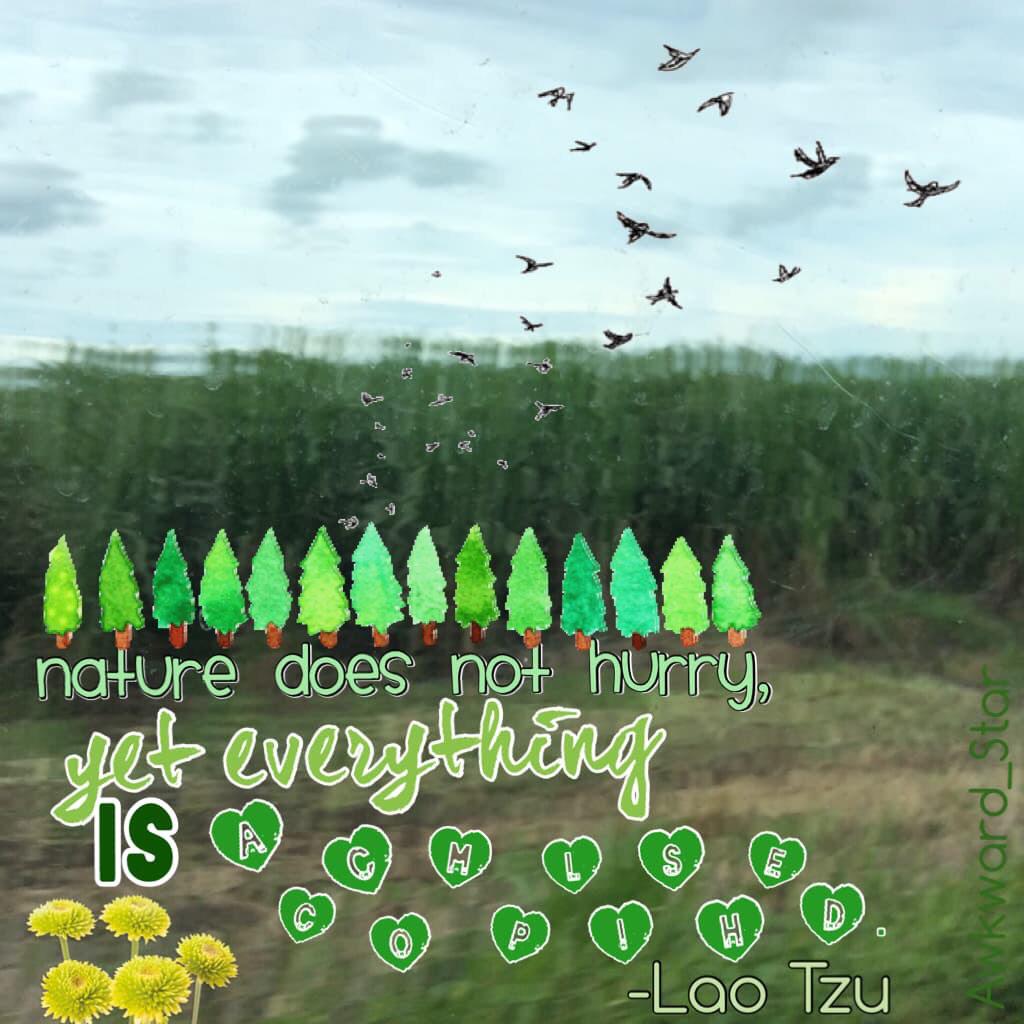 I originally made this for a contest, so that is why I put the tree gif on top(since gifs make your collages save as videos) Photo in the background taken by me😌😌 Birds are a transparent:P