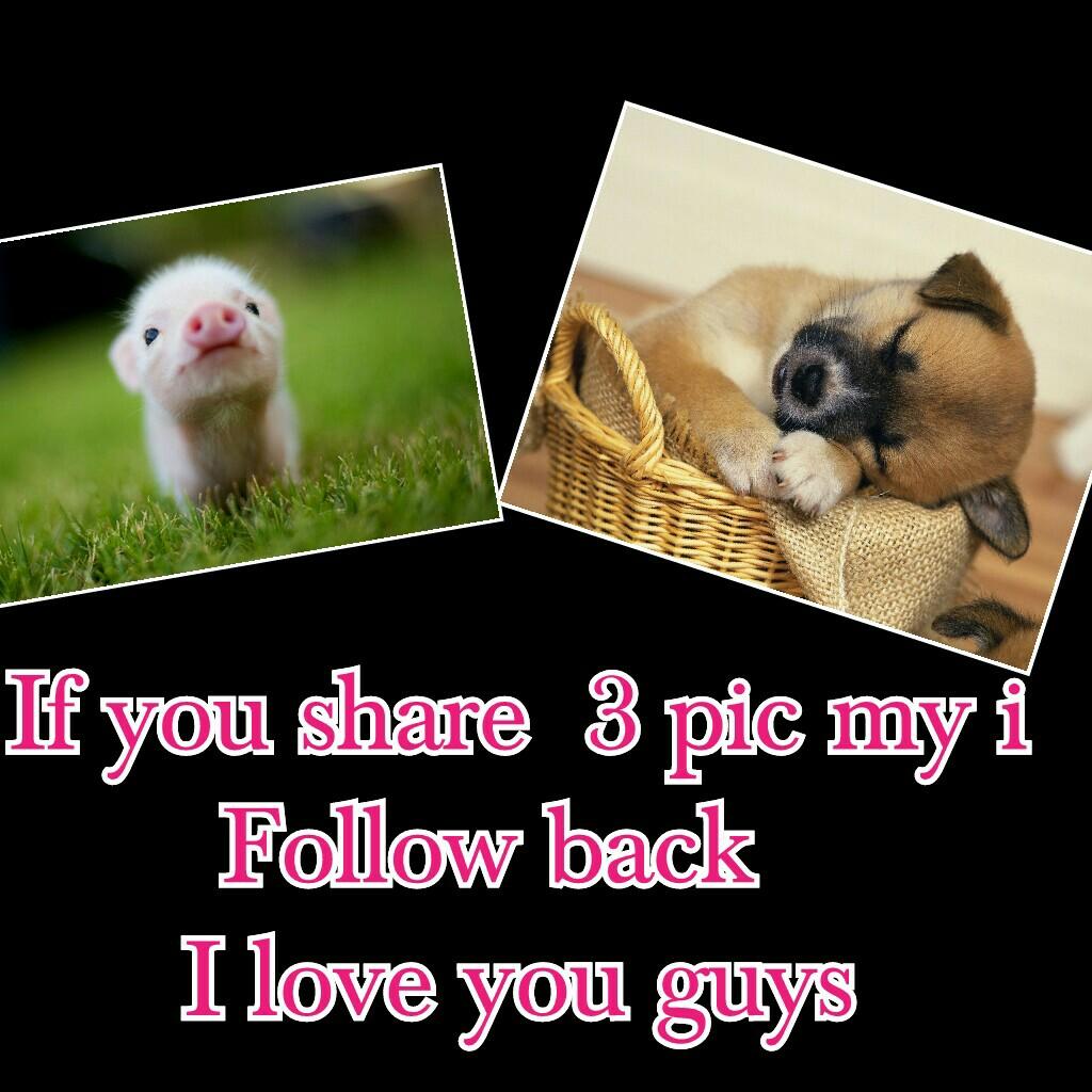 If you share  3 pic my i
Follow back  
I love you guys