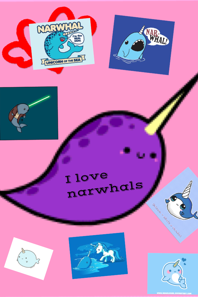 I love narwhals