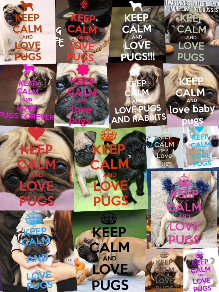 Love pugs