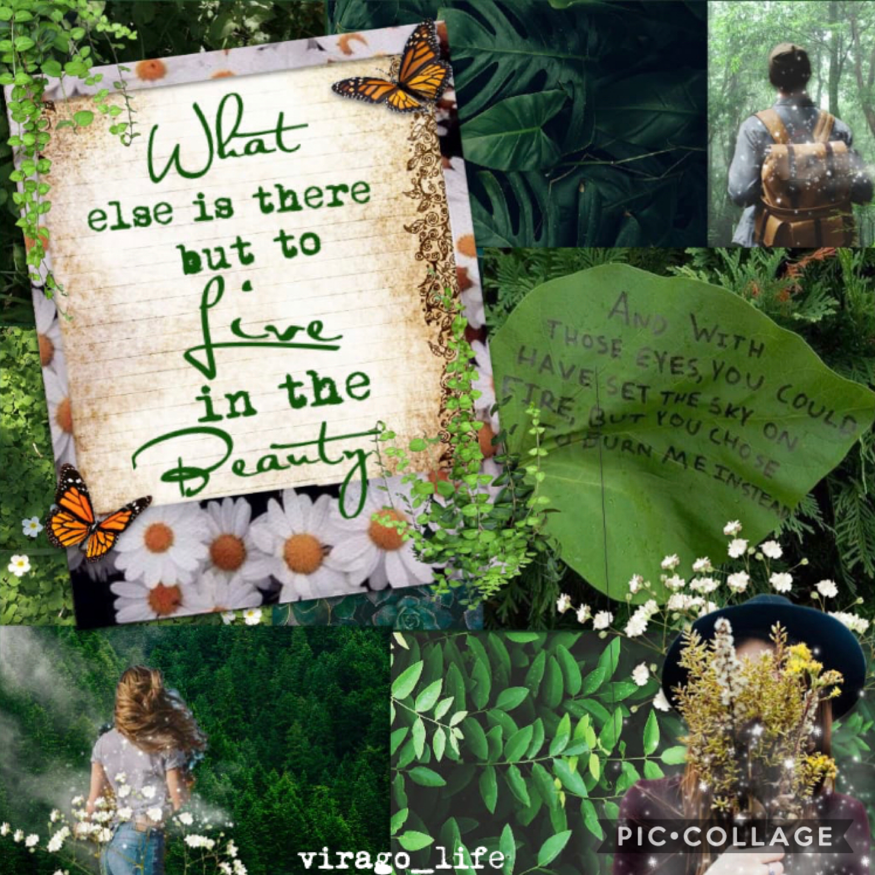 🌿tap🌿
This is my entry to @TabbyQueen ‘s last round contest!! Hope you guys enjoy!! 
Should I start qotd? Let me know what you think!! 🤔🤗