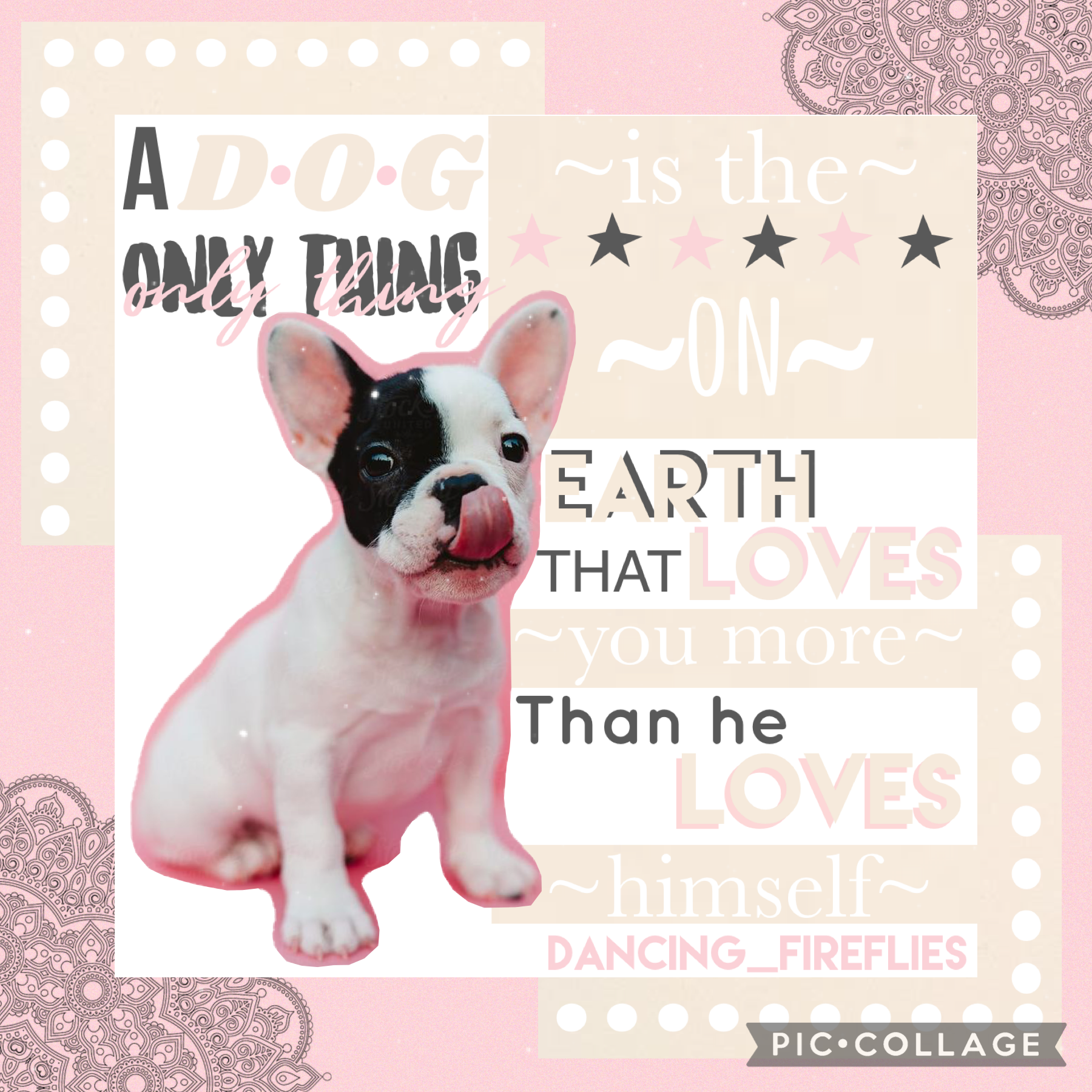💖TAP💖
I love this quote so much and the little French is is so cute!🥰 from 1/10 how much do you rate the text? I personally don’t like this style text but I want to know what you all think!💞(5/19/21)