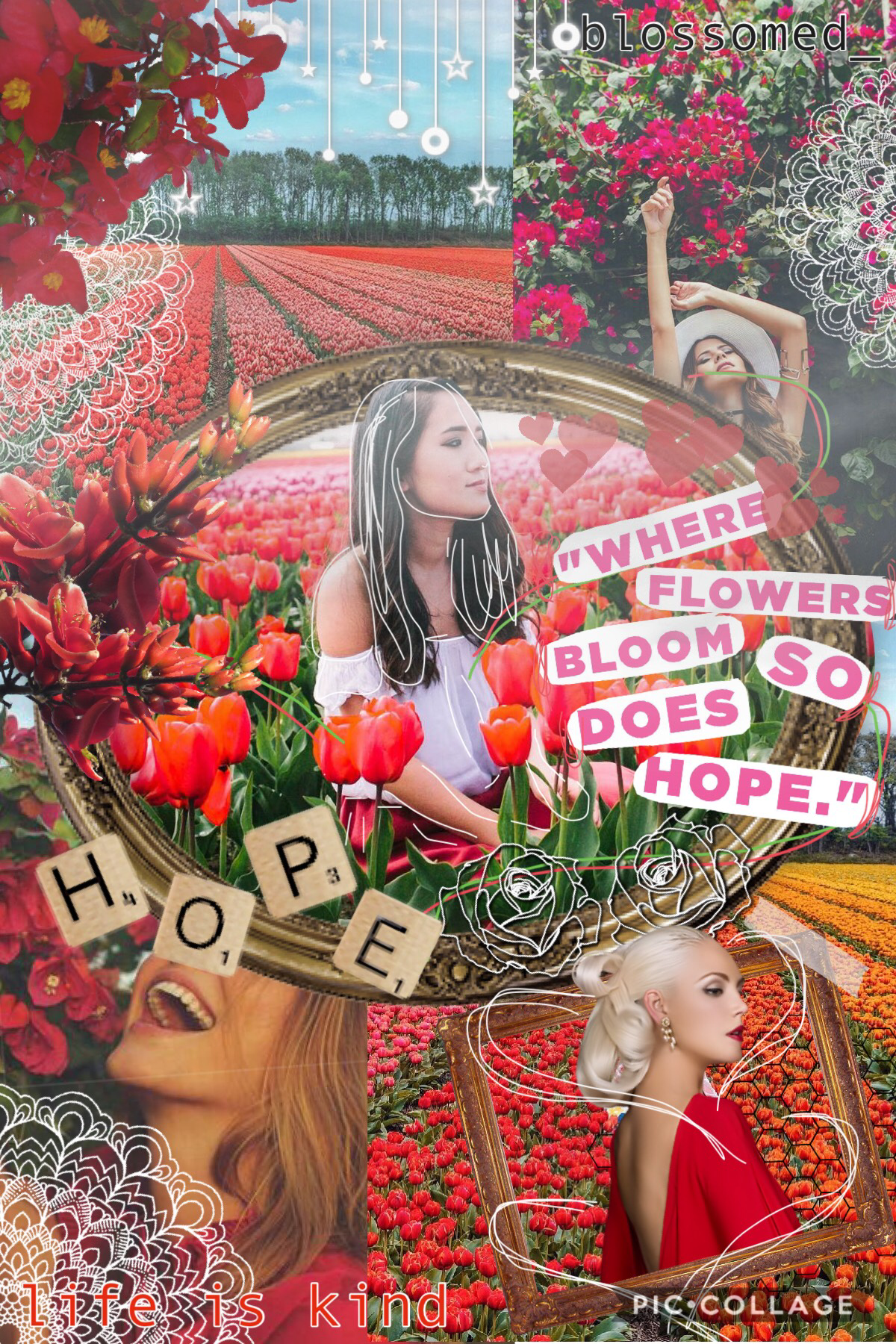 Thanks for all the kind comments on my first collage! Hope you like this ✨ 🌹❤️