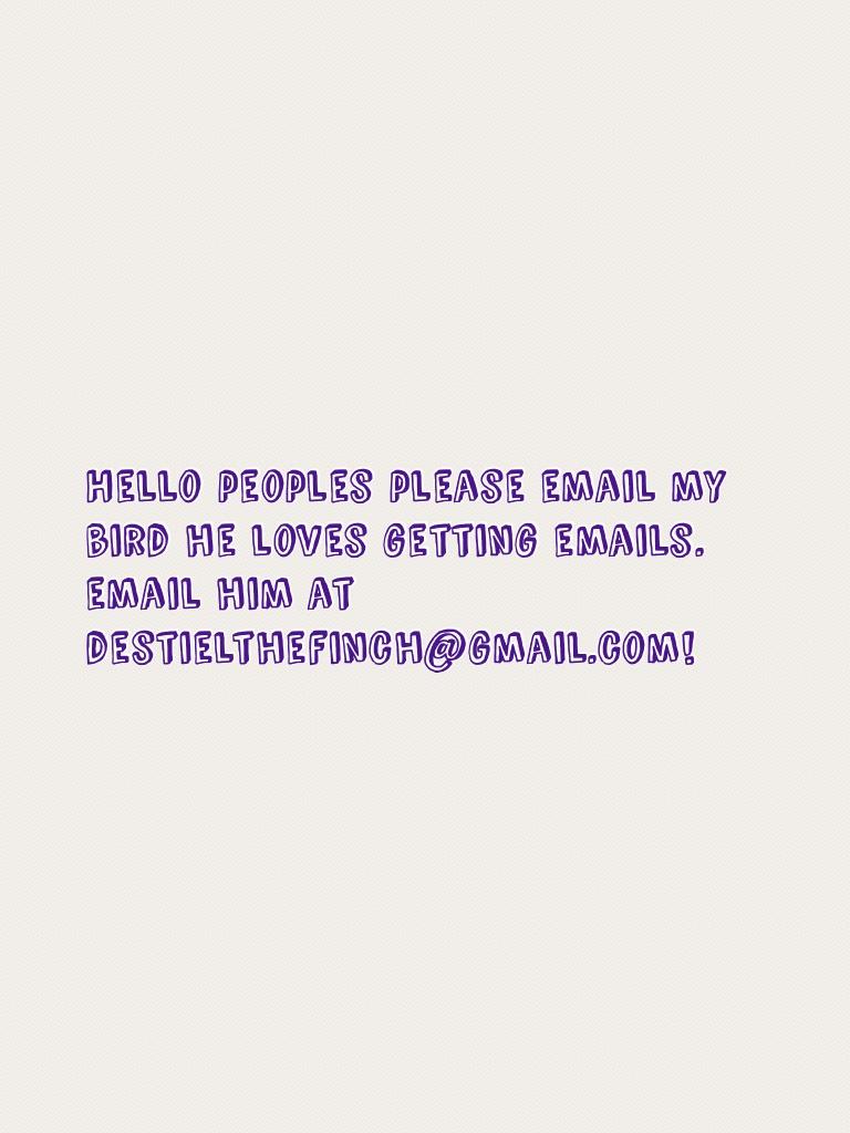 Hello peoples please email my bird he loves getting emails. email him at destielthefinch@gmail.com!
