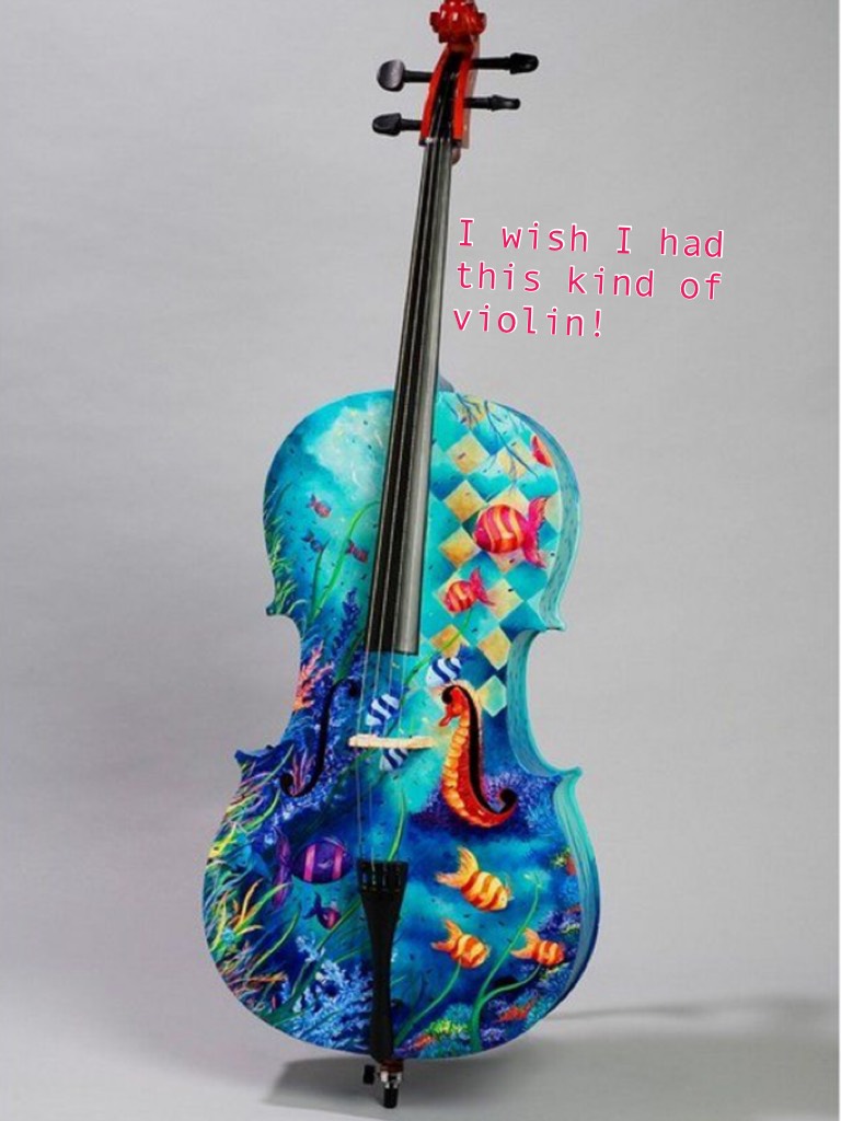 I wish I had this kind of violin!