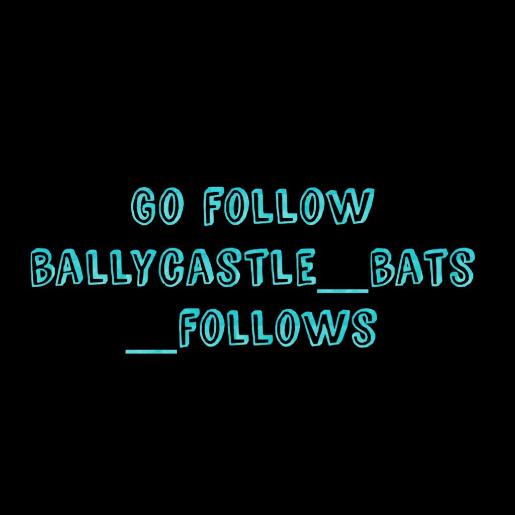 Go follow ballycastle_bats_follows