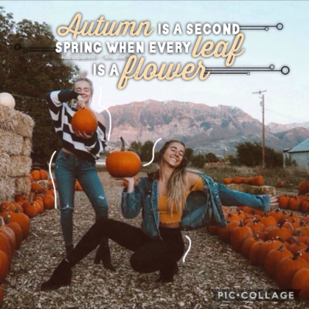 Collab with the wonderful...
@-butteredpopcorn-!🍂❤️😱Her collages and talent are just stunning! She did the editing, I find the pic and quote! She is just so funny and kind, plz check out her account!🍂❤️✨🎃