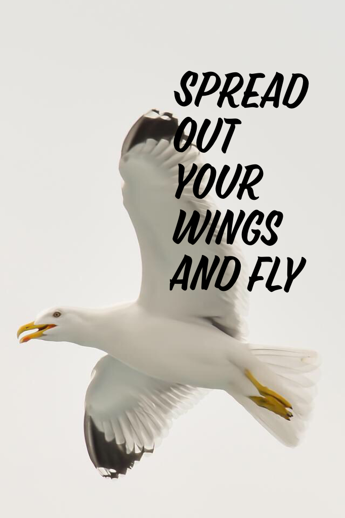 Spread out your wings and fly 