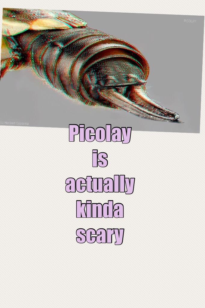Picolay is actually kinda scary 