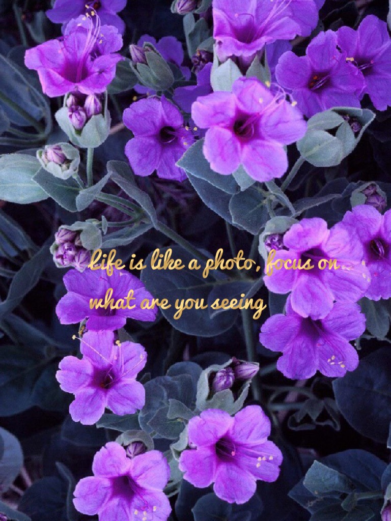 Life is like a photo, focus on what are you seeing