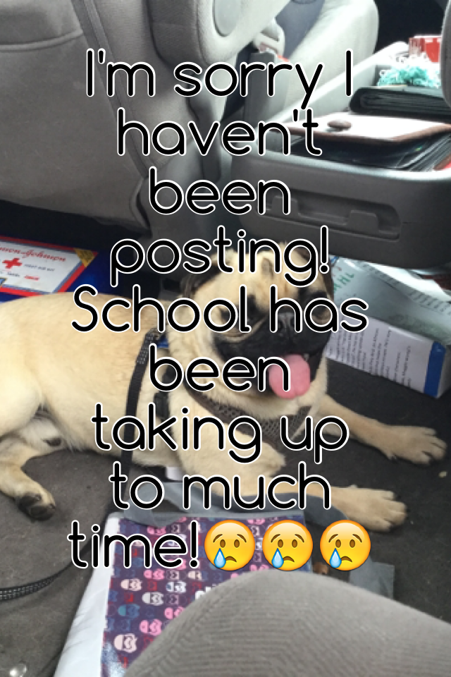 I'm sorry I haven't been posting! School has been taking up to much time!😢😢😢
