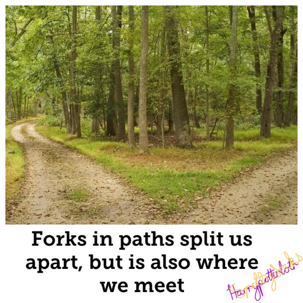 Forks in forest footpaths