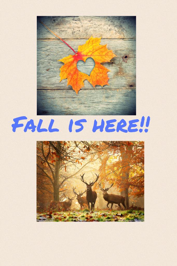 Fall is here!!