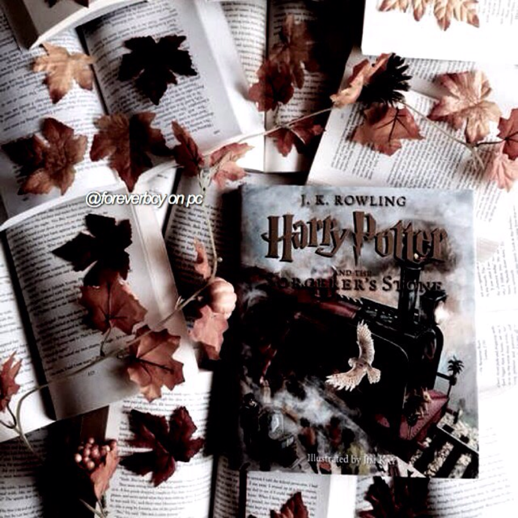HARRY POTTER 🌨🌨 who else is obsessed with this book series 💭 I love books so much I could read a series in possibly a day; I have a problem, books are life 💜💜