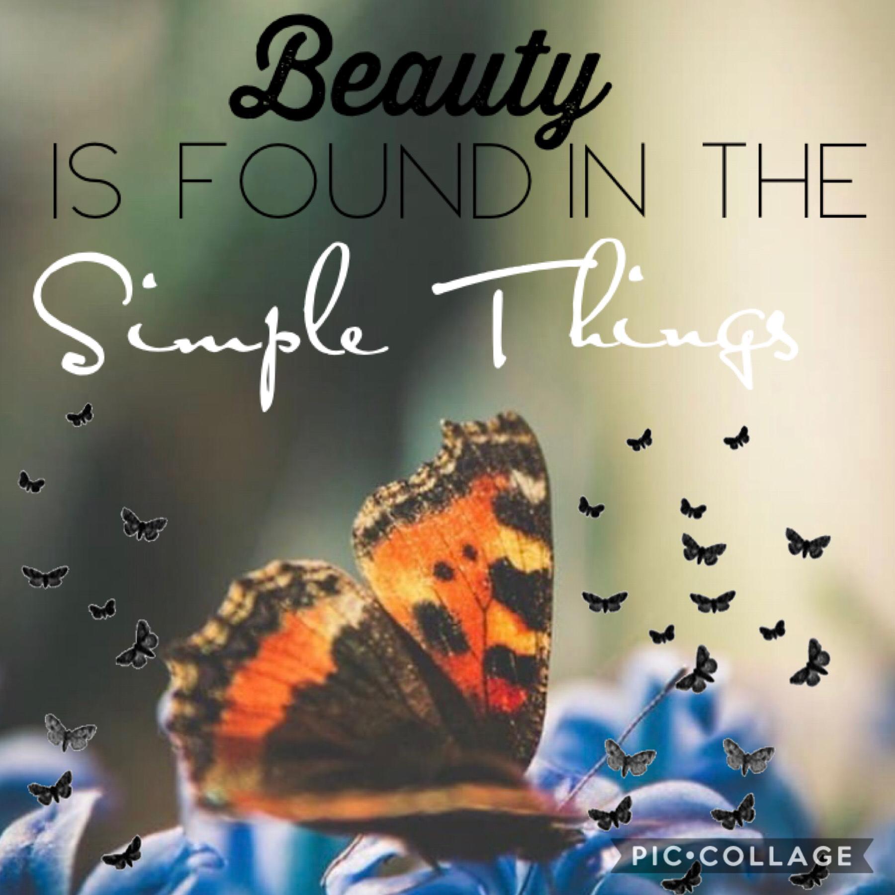 🦋Tappy🦋
Thanks again RiverWillow13 for the backgrounds! I know this isn’t really CHRISTIAN, but I believe posting motivational and positive quotes is important... Thoughts??