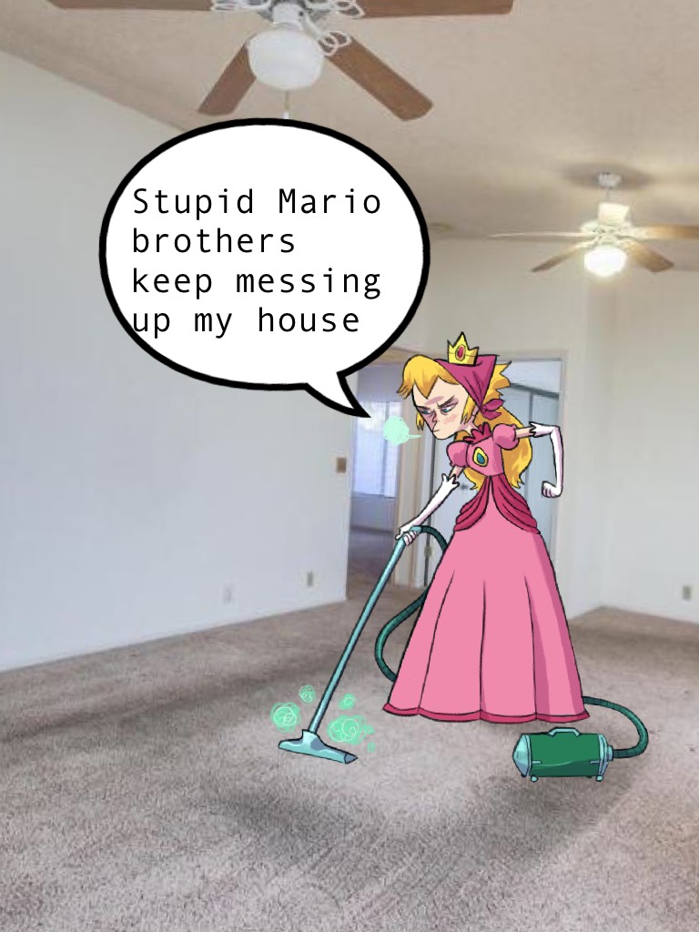 Stupid Mario brothers keep messing up my house