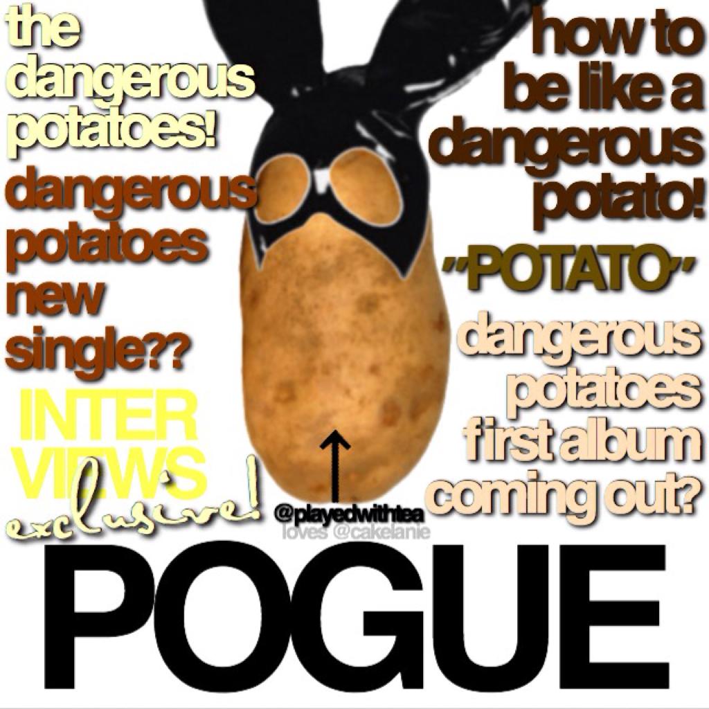 welcome to poguemagazine where we update u about the amazing @dangerouspotatoes 💓 follow for updates + exclusive news u won't get anywhere else!‼️-@playedwithtea