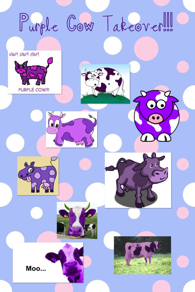 Purple Cow Takeover!!! 