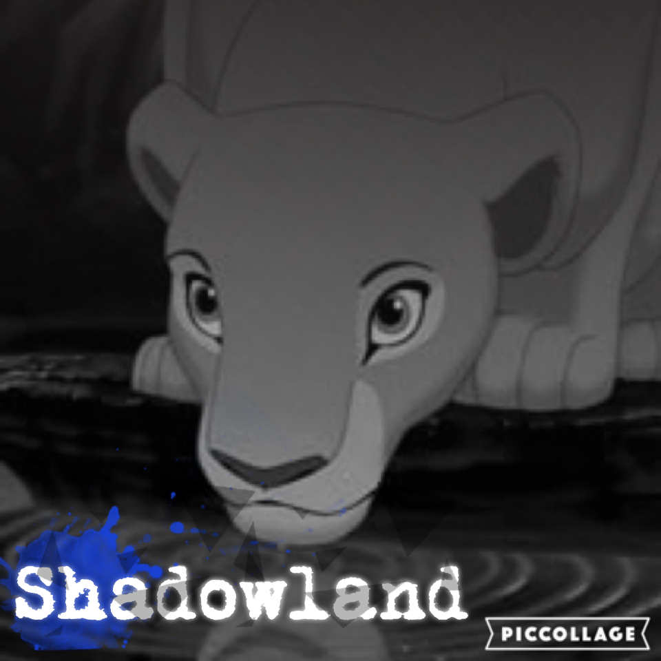 Shadowland the leaves have fallen🍃🍃🍃 I'm proud of this!!! Nala is amazing 😍😍😍🦁 Had my first singing lesson on Wednesday and I need Broadway/musicals/Disney female solo songs so plz comment below I'd appreciate it ☺️☺️☺️💖💖💖
