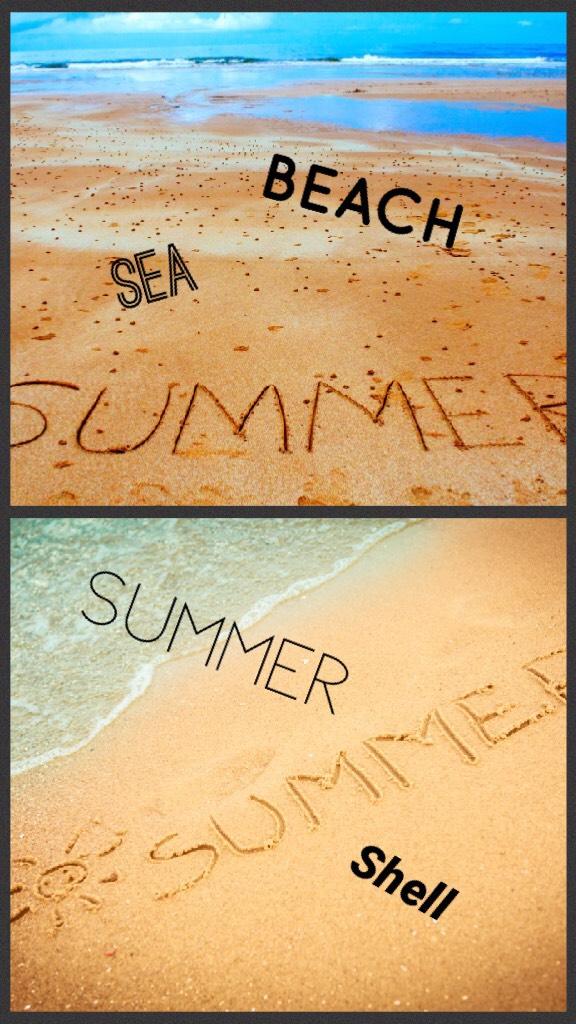 #beach#summer#shell#sea 