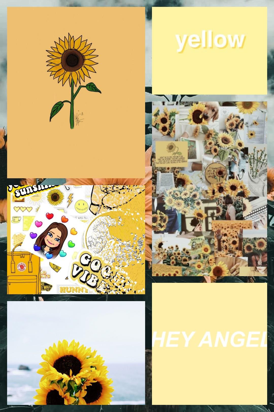 #SunflowerVibes
#YellowCollage
#PicCollage
#FollowMePlease