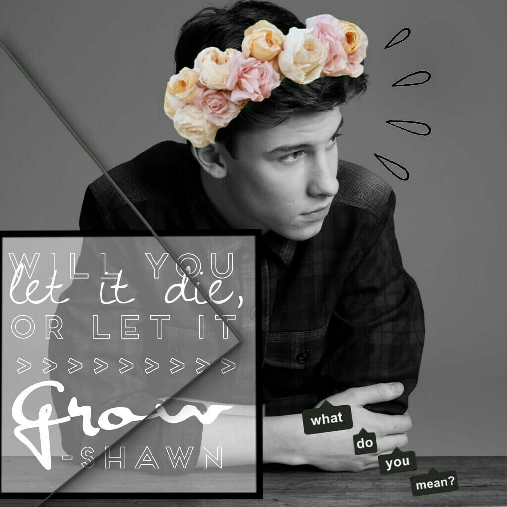 my entry to @shawn__mendes-lover's games