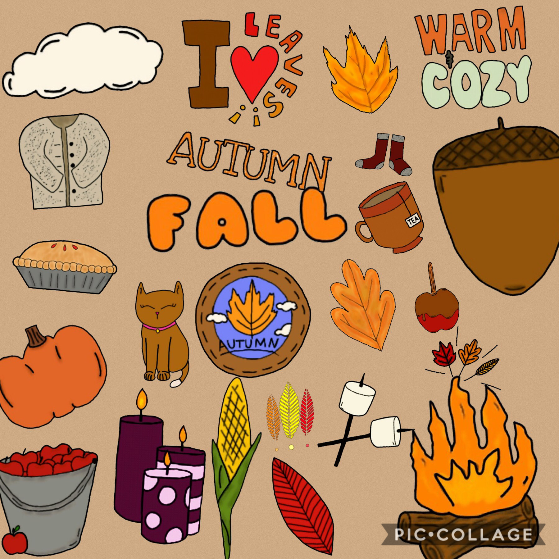 Fall challenge.🍁🍂challenge completed👍🏻