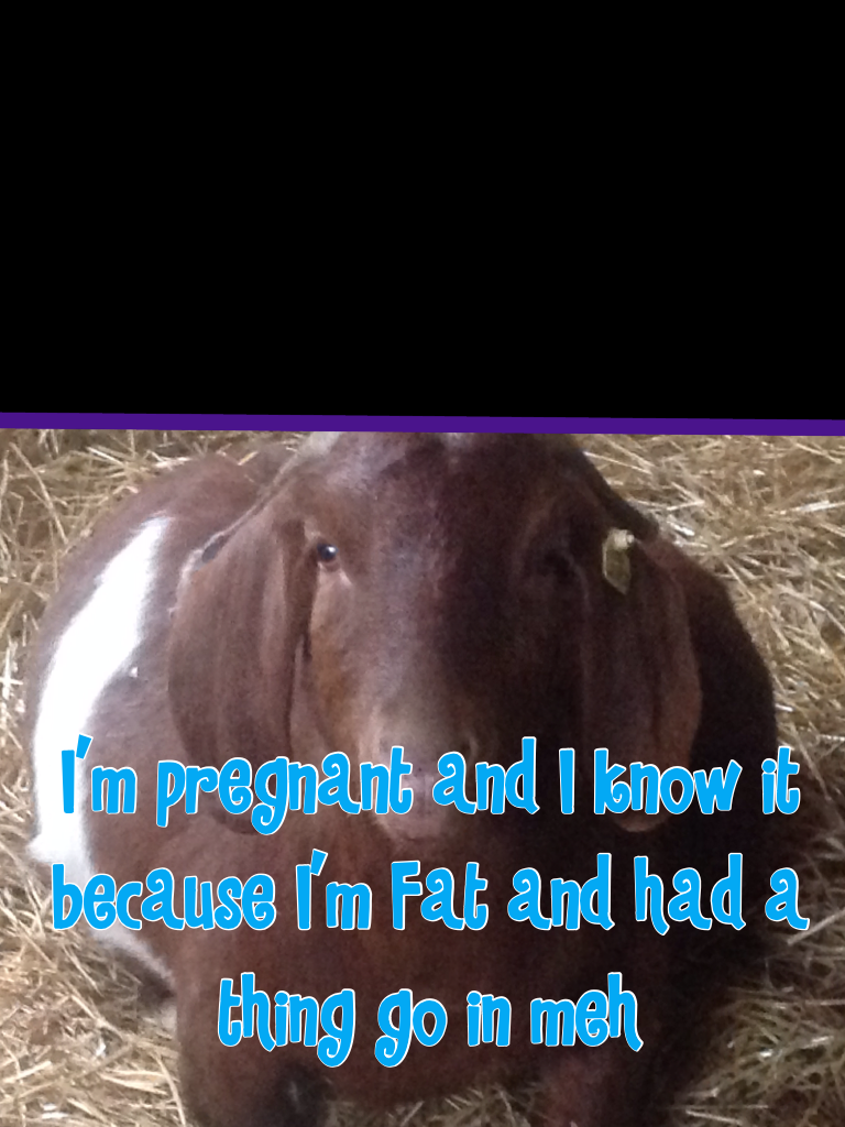 Lol this is my goat Boo she has kids, names: Boots, Bit and bear but now she's pregnant again! Lol