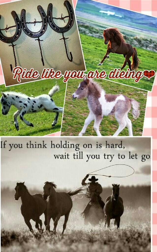 Ride like you are dieing❤