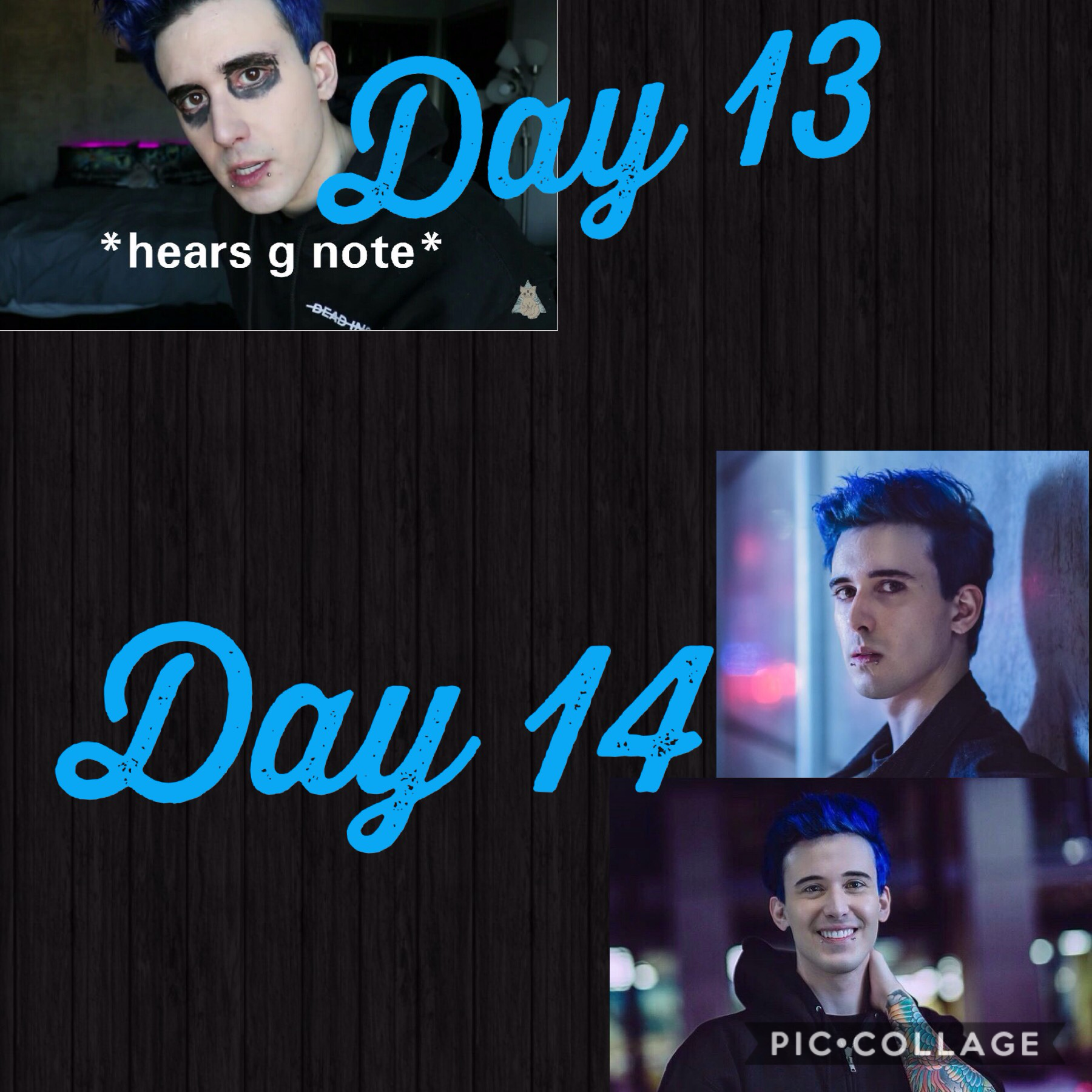 Day 13+14 








Sorry yesterday was hectic 