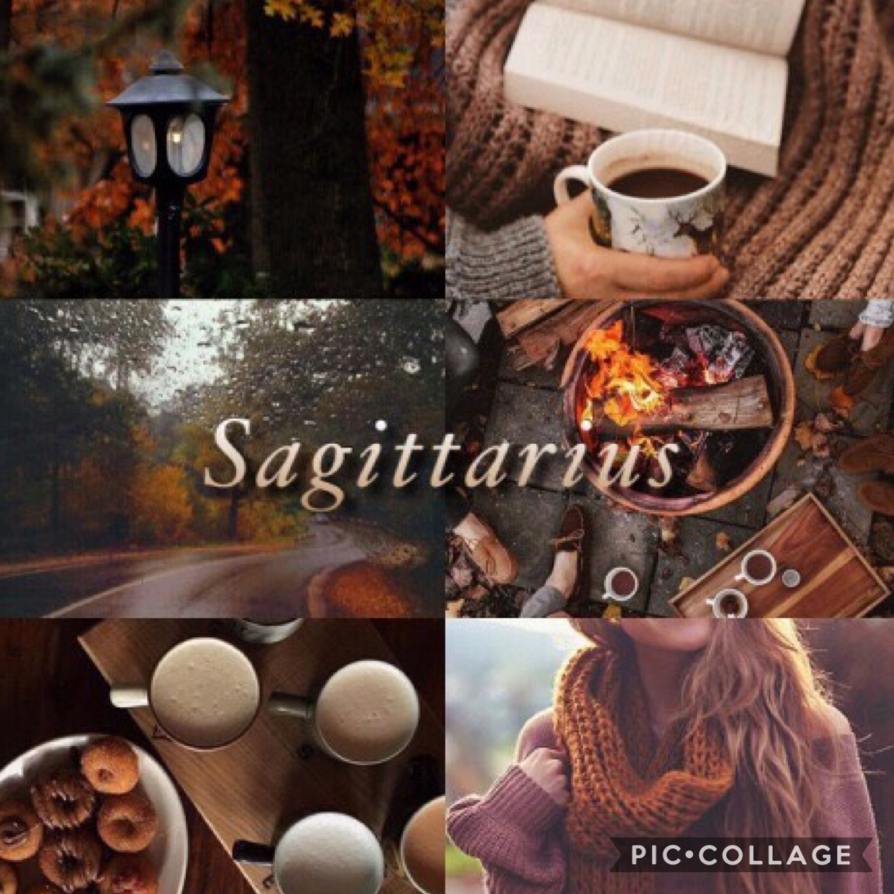 No wonder I’m so drawn to Fall! I’m a Sagittarius 🧡💛 WhAt are you?