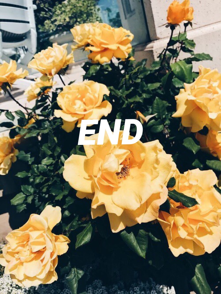 END 🌻😂