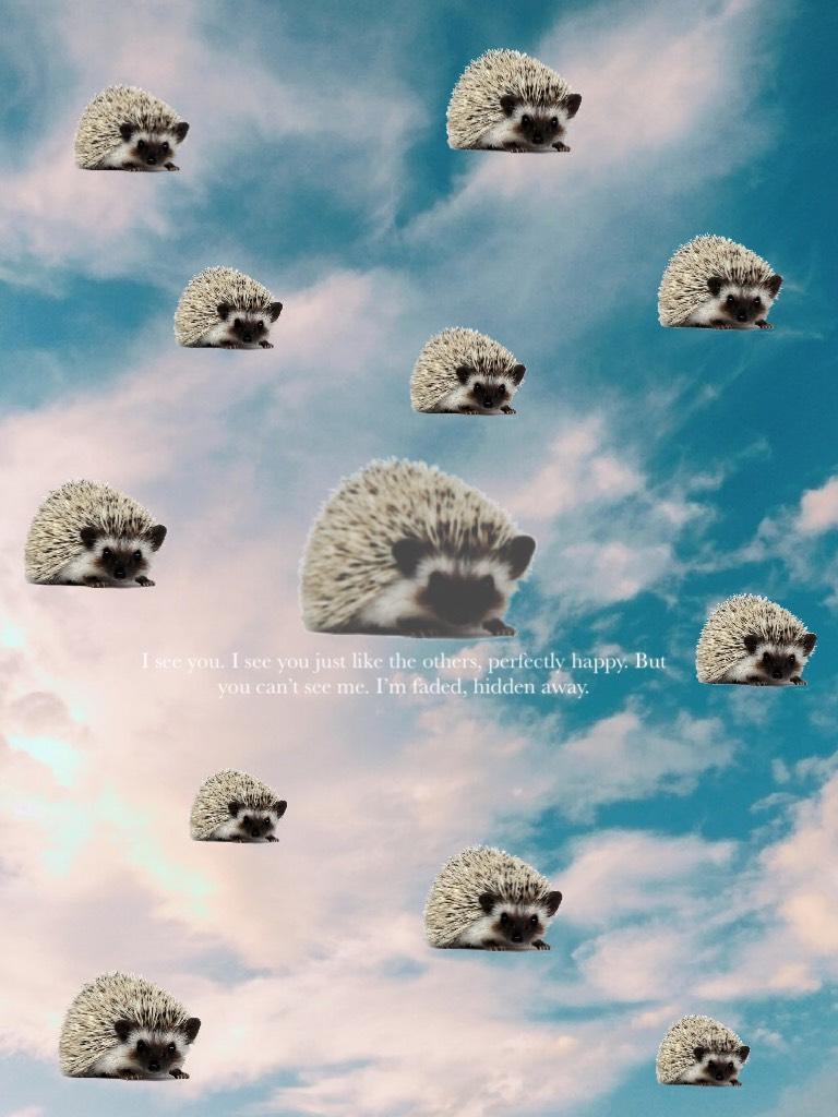Collage by fadedhedgehog
