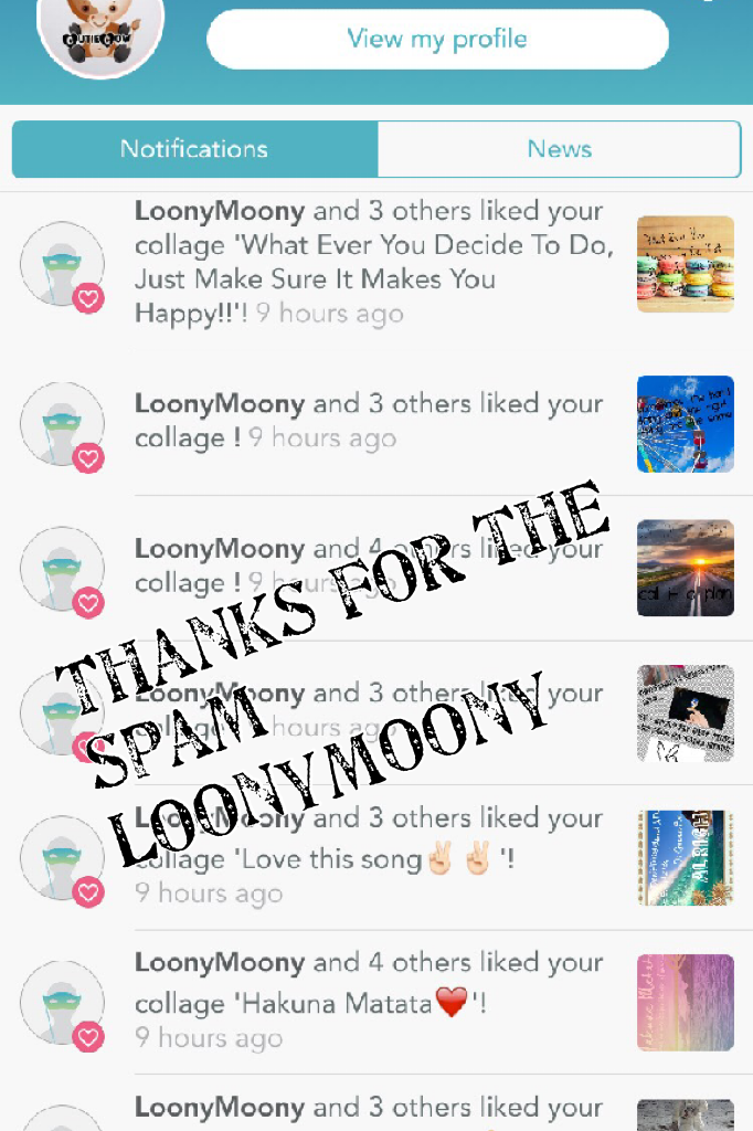 Thanks for the spam LoonyMoony