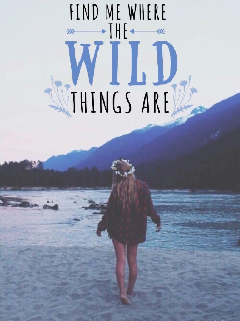~Find me where the wild things are~