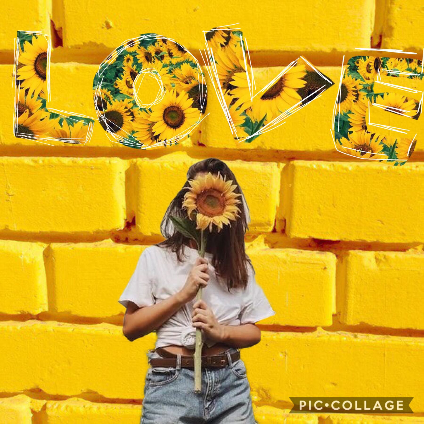 🌻tap🌻
❤️love y'all❤️