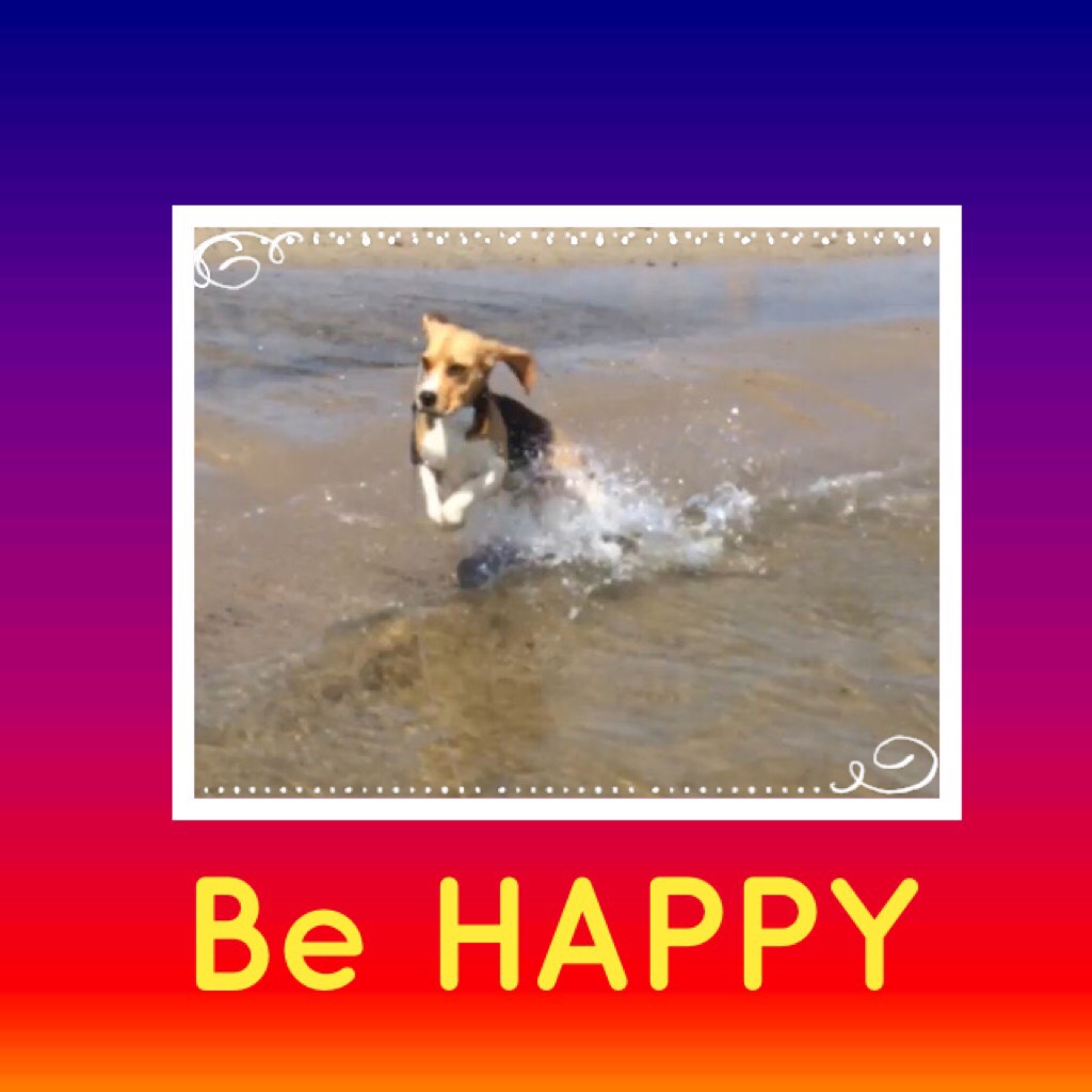 Be HAPPY Be Me♥️🐶