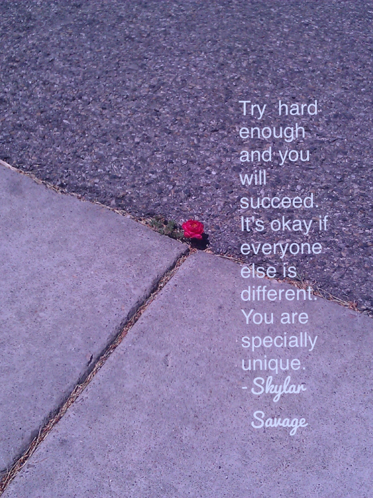 Try  hard enough and you will succeed.
It's okay if everyone else is different. 
You are specially unique.
-skylar savage 