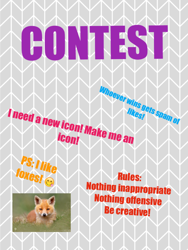 CONTEST icon contest