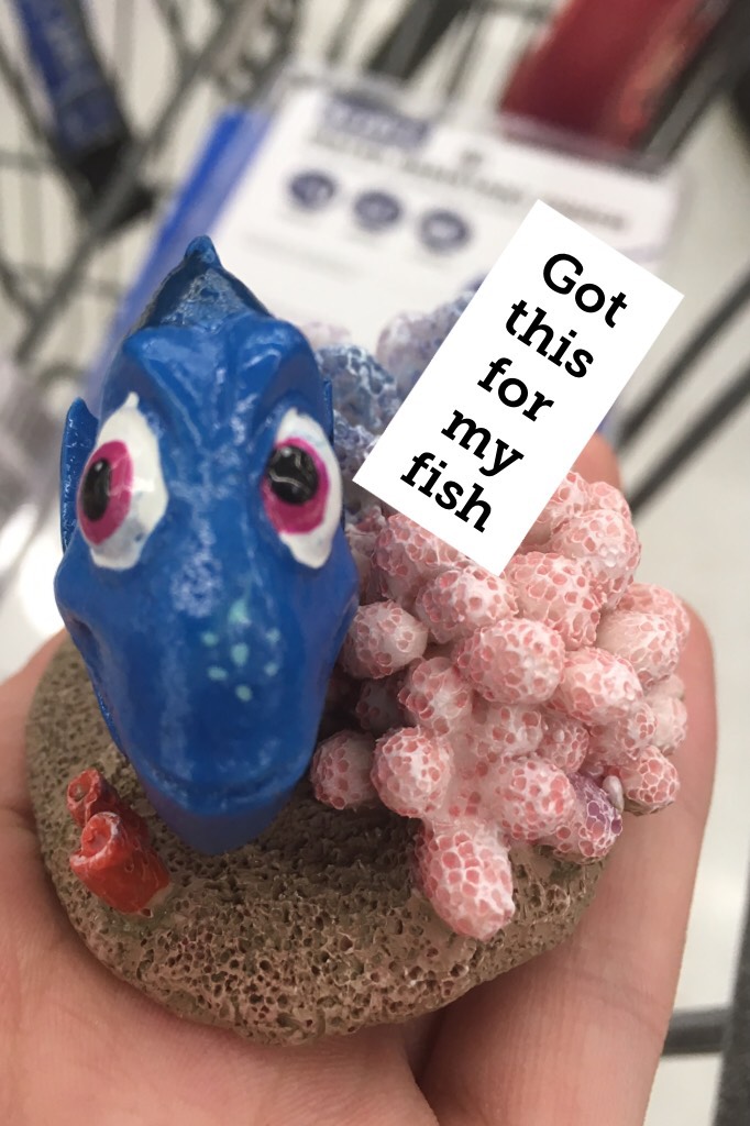 Got this for my fish