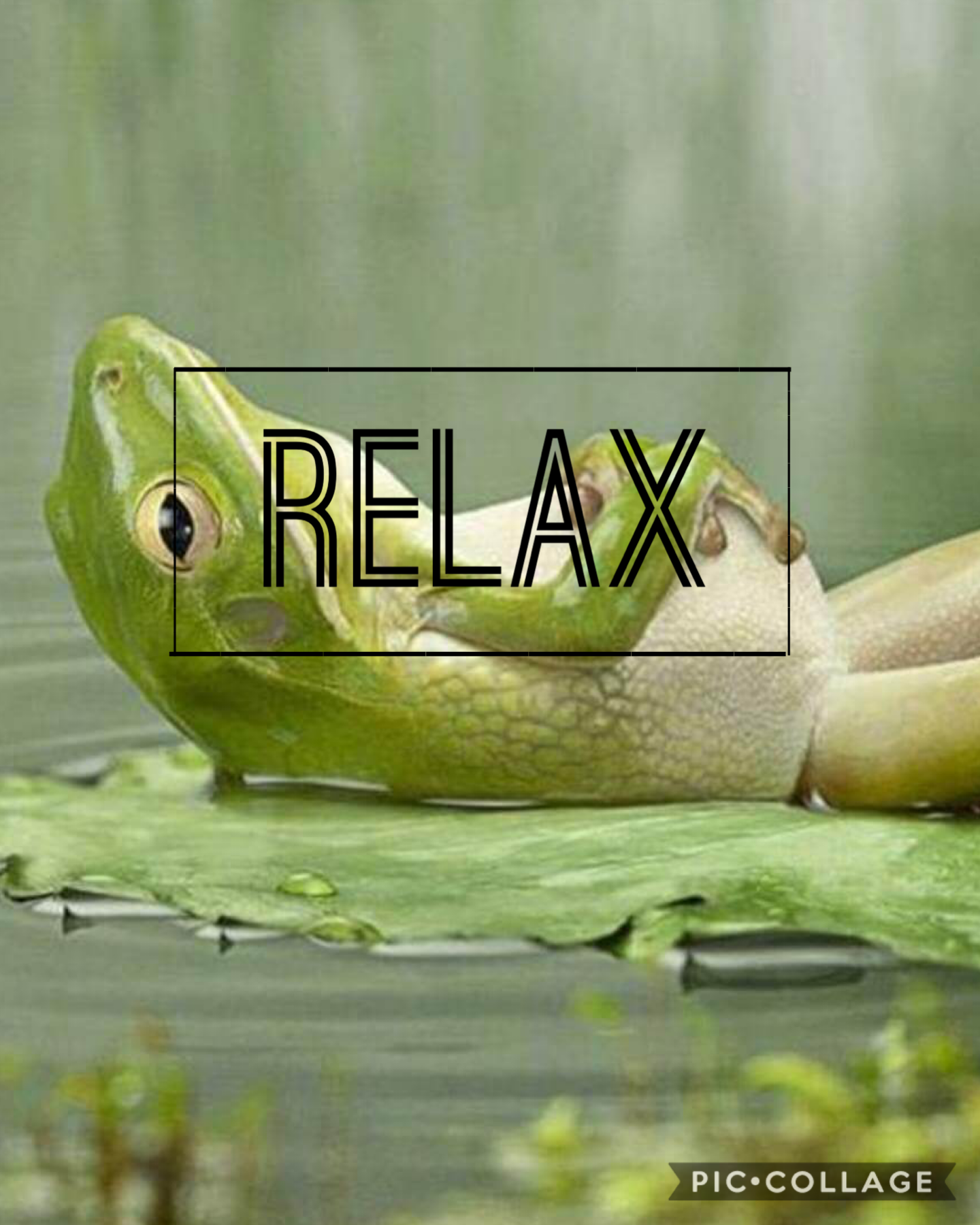 Sometimes you just need to relax ;)