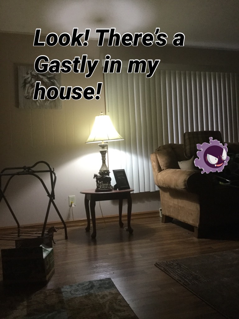 Look! There’s a Gastly in my house!