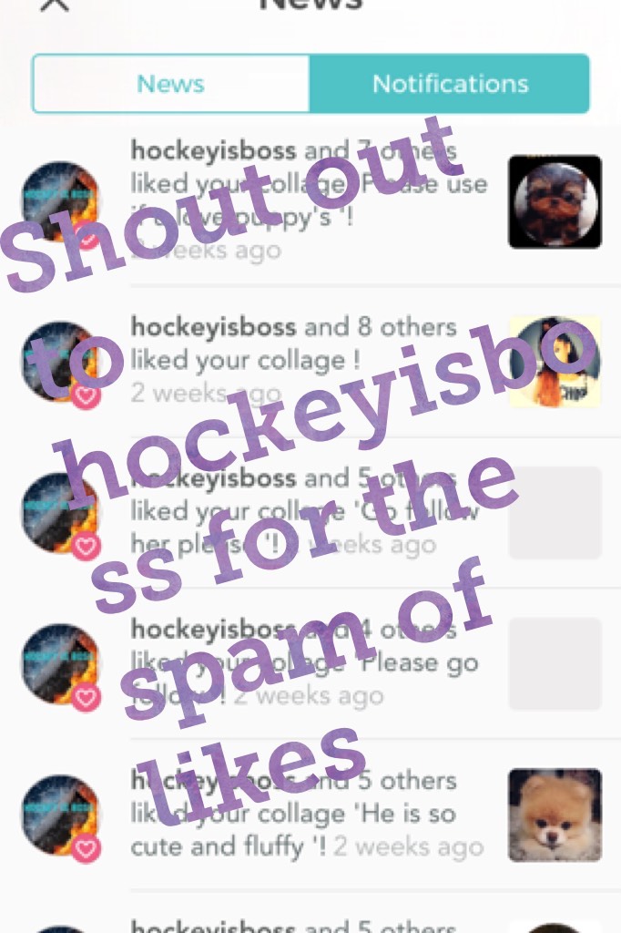 Shout out to hockeyisboss for the spam of likes 