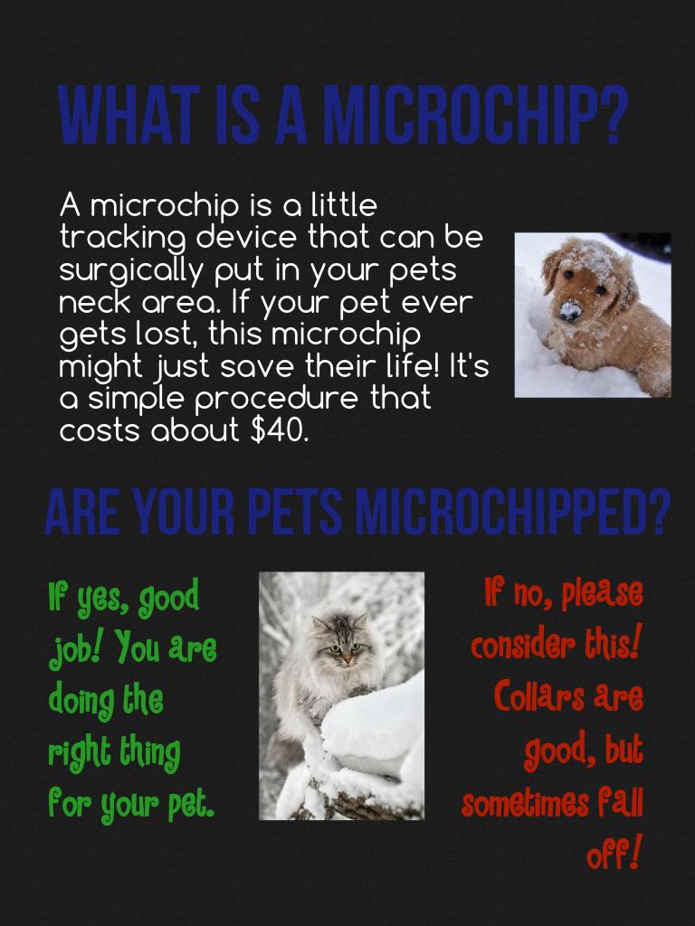Are your pets microchipped? 