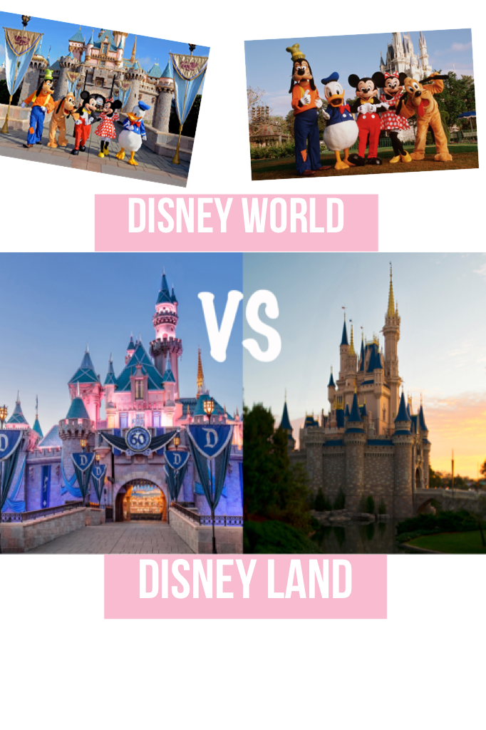 Disney world or Disney land 