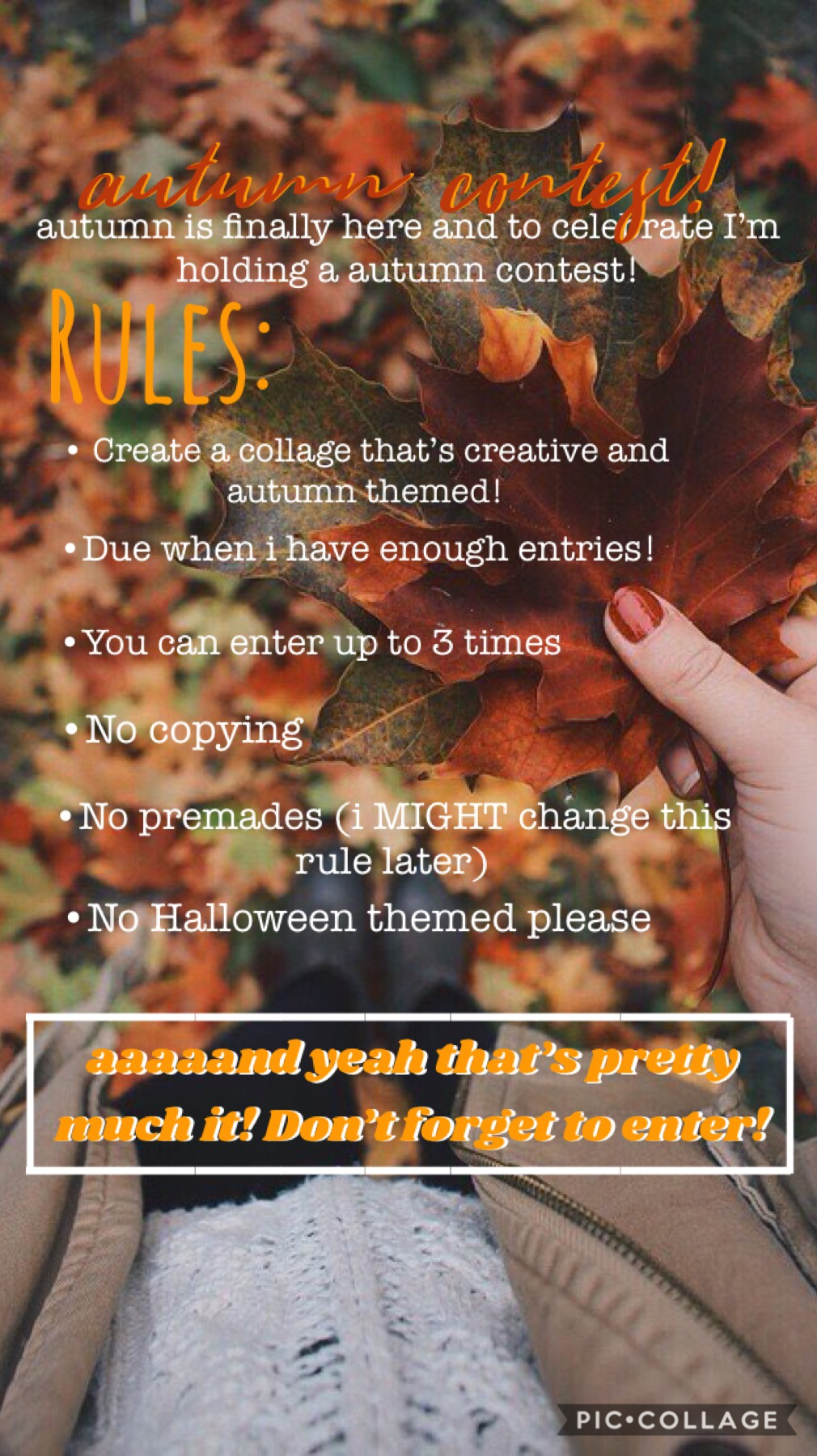 ITS CONTEST TIMEEEE (tapity)
 I’m really excited because fall is my favorite season 😅🍁🍎🎃 Please enter!!
Idk about the premades it depends on how much entries i get 😐
SOTD: -CatsForever- (Congrats on 10k!!)
And that’s all for now my 0ats have a great rest 