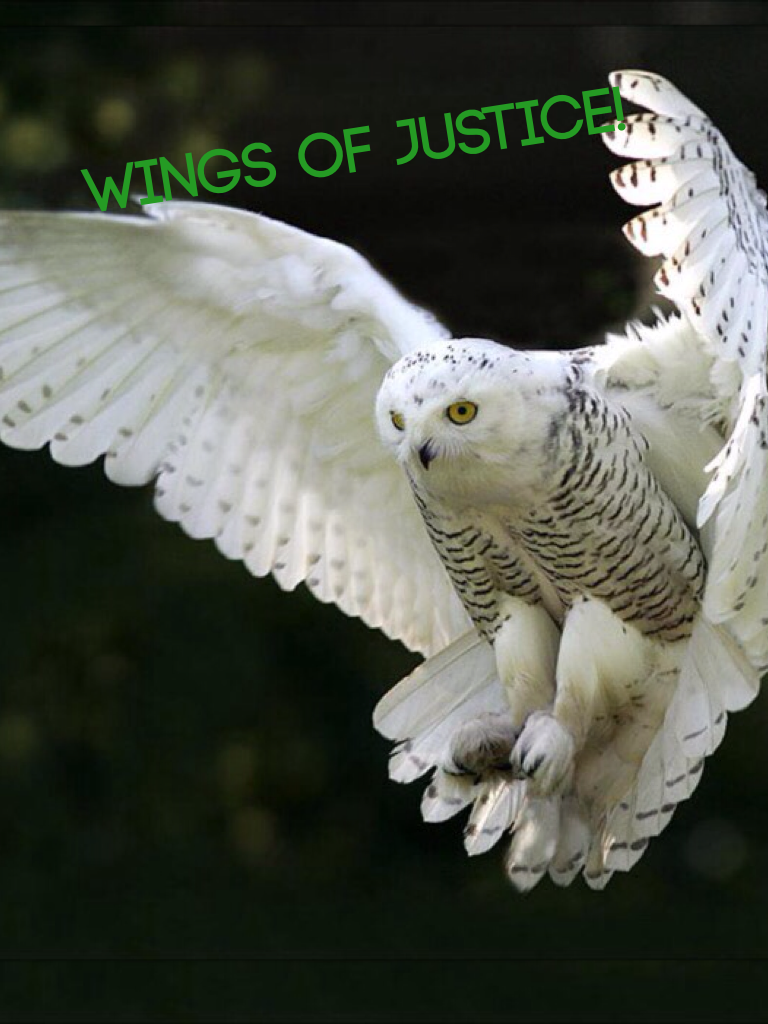 Wings of justice!