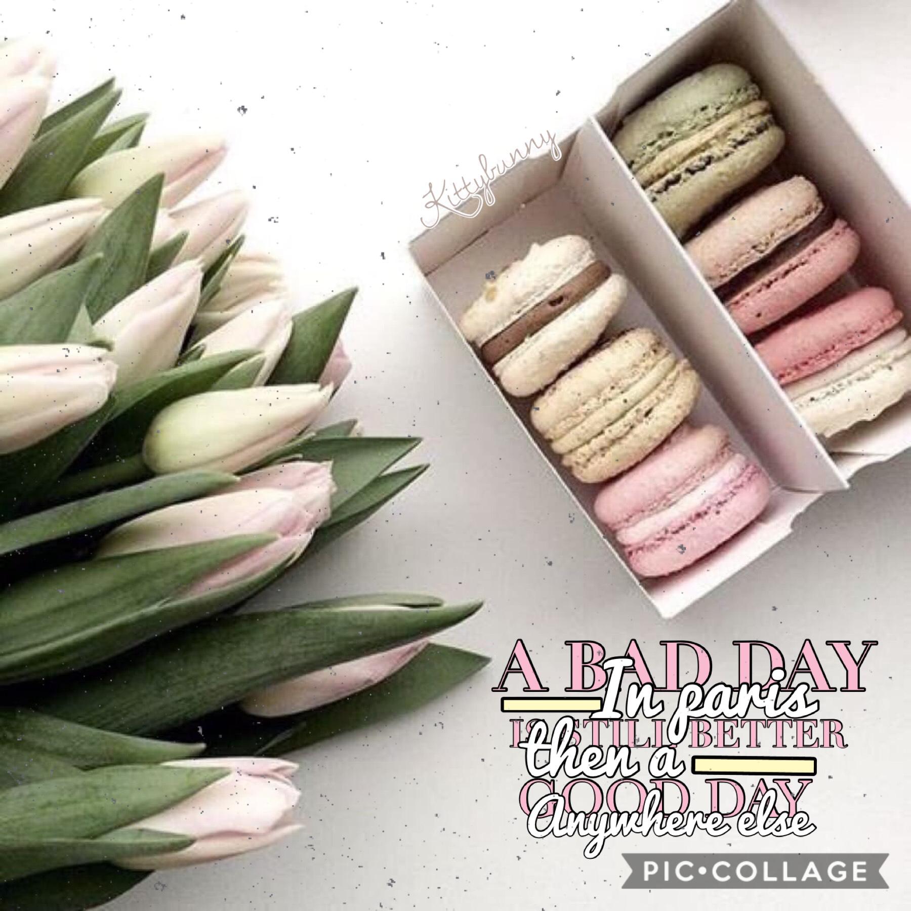 So
🌷what’s you favorite flavor of a macaroon 🌷
🍎Mines fruity pebbles 🍎